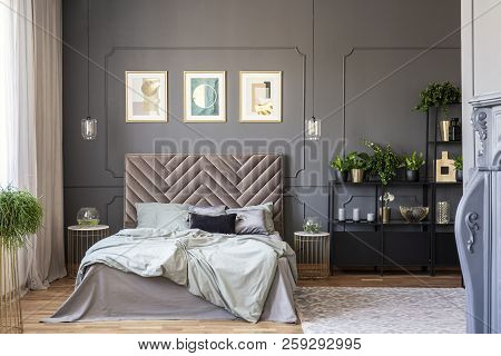 Dark Bedroom Interior With A Comfy Double Bed, Paintings And Black Shelf And Wall Molding