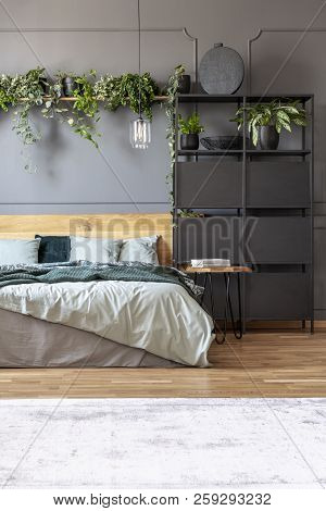 Botanical Bedroom Interior With A Double Bed, Black Cabinet And Shelf With Plants