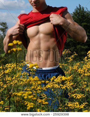 Muscular male torso sur une prairie