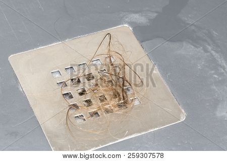 Hair Loss In The Shower . Long Wet Brown Hair On The Railing Of The Shower In The Bathroom. Healthca