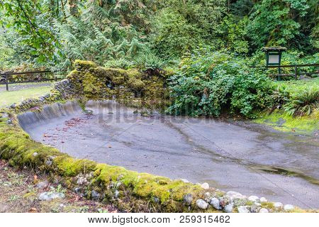 An Empty Fish Pond At Flaming Geyser State Park In Washington State.