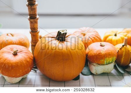 Orange Pumpkins On White Table In Cafe. Celebrating Of Hallloween