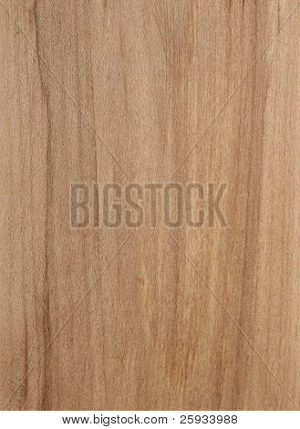 Texture legno di sorbo albero