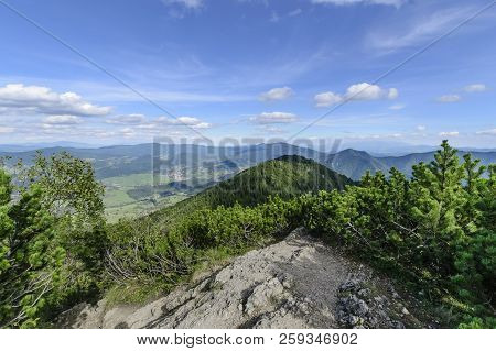 The Trees In Top Of  Little Rozsutec Hill In Sunny Day, Slovakia. Europe.
