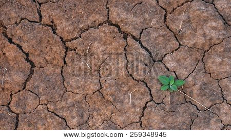 Ground Is Cracked By Drought In The Countryside