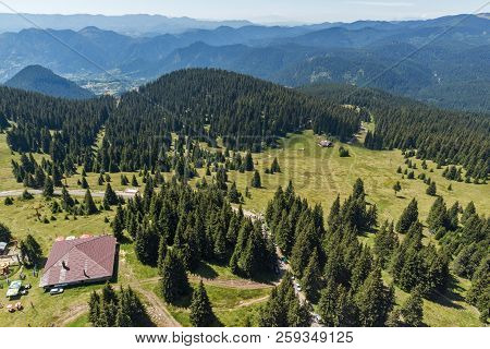 Summer Landscape Of Rhodope Mountains From Snezhanka Tower Near Ski Resort Pamporovo, Smolyan Region