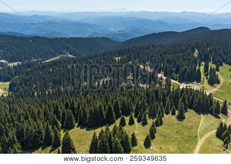 Summer Landscape Of Rhodope Mountains From Snezhanka Tower Near Ski Resort Pamporovo, Smolyan Region