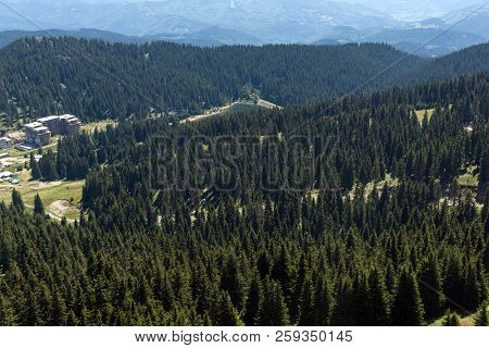 Summer Landscape Of Rhodope Mountains From Snezhanka Tower Near Ski Resort Pamporovo, Smolyan Region