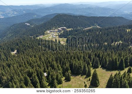 Summer Landscape Of Rhodope Mountains From Snezhanka Tower Near Ski Resort Pamporovo, Smolyan Region