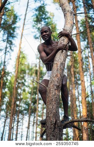 Male Black With No Shirt Climbs A Tree