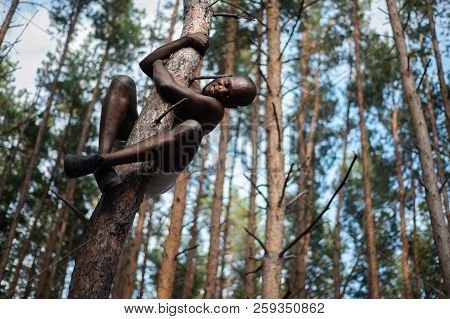 Male Black With No Shirt Climbs A Tree