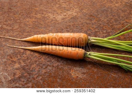 Pair Of Raw Carrots From New Harvest On Rusty Melallic Surface Background Empty Space