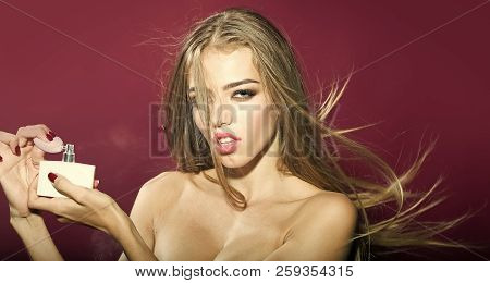 Portrait Of One Beautiful Young Sensual Woman With Long Hair Bright Make-up And Undressed Shoulders 