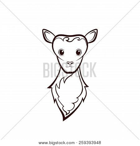Head Of A Young Mutton. Drawing On A White Background. Vector Illustration. Animals Wildlife Design.