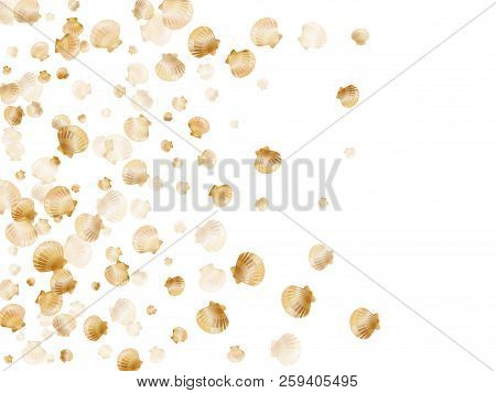 Gold Seashells Vector, Golden Pearl Bivalved Mollusks. Underwater Scallop, Bivalve Pearl Shell, Mari