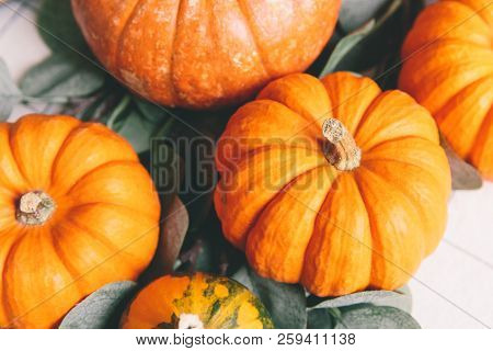 Orange Pumpkins On White Table In Cafe