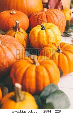 Orange Pumpkins On White Table In Cafe