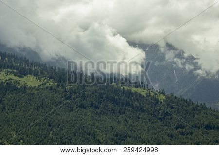 Wooded Hills On The Background Of Snowy Mountains