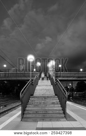 Bridge Bw
