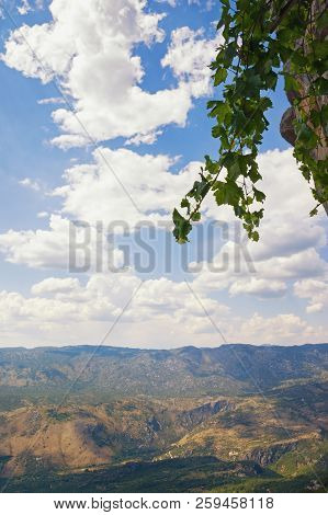 Green Vine Against A Blue Sky With White Clouds. Mountain Summer Landscape. Montenegro, Dinaric Alps