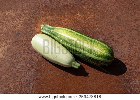 Two Raw Zucchini From New Harvest On Rusty Melallic Surface Background Sunshine
