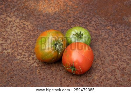 Three Green And Red Tomatoes Not Ideal From New Harvest On Rusty Melallic Surface Background