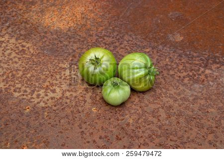 Three Green Tomatoes Not Ideal From New Harvest On Rusty Melallic Surface Background