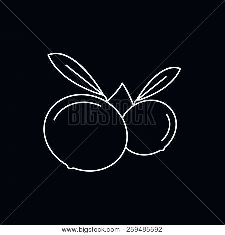 Mundu Icon. Outline Illustration Of Mundu Vector Icon For Web And Advertising Isolated On Black Back