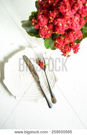 Summertime Floral Table Setting With Red Kalanhoe Flower On White Concrete Background