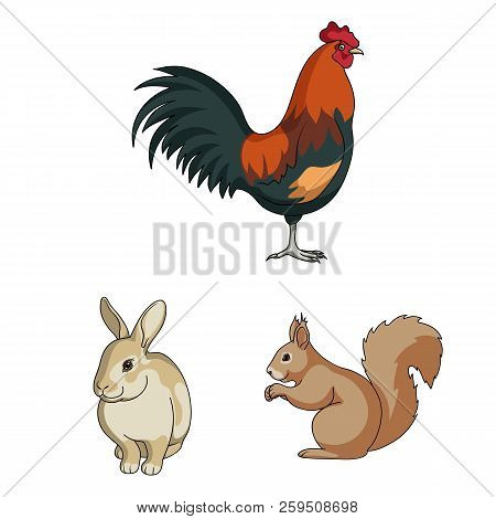 Realistic Animals Cartoon Icons In Set Collection For Design. Wild And Domestic Animals Vector Symbo