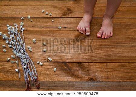 Baby Little Legs On The Wooden Floor And Blooming Willow, Catkins. The Old Wooden Floor And, Bare Fe