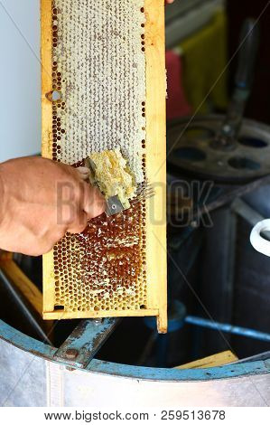 Close-up Beekeeper Is Uncapping Honeycomb With Uncapping Fork. Beekeeping Concept. Authentic Lifesty