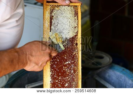 Honey Comb. Beekeeper Is Uncapping Honeycomb With Uncapping Fork. Beekeeping Concept. Authentic Life