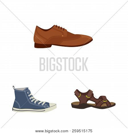 Vector Illustration Of Man And Foot Icon. Set Of Man And Wear Stock Vector Illustration.