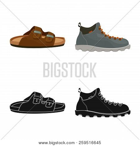 Vector Design Of Man And Foot Sign. Set Of Man And Wear Vector Icon For Stock.