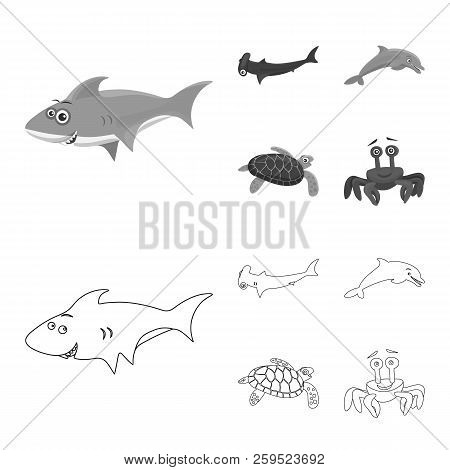 Vector Design Of Sea And Animal Icon. Set Of Sea And Marine Stock Vector Illustration.