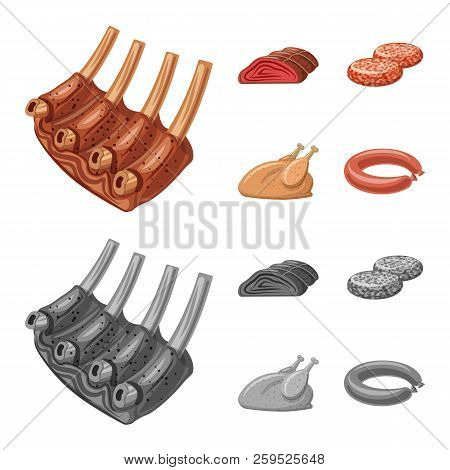 Vector Design Of Meat And Ham Icon. Set Of Meat And Cooking Vector Icon For Stock.