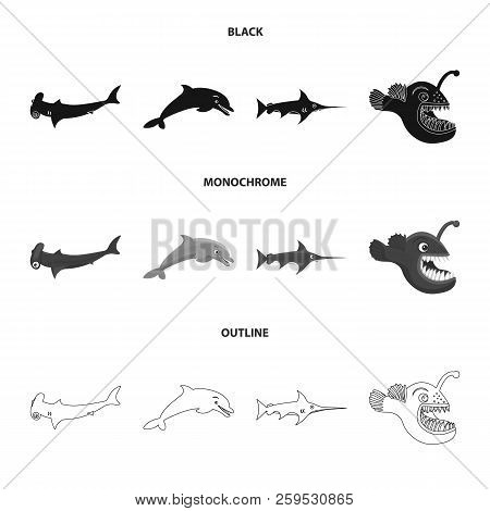 Vector Design Of Sea And Animal Icon. Collection Of Sea And Marine Vector Icon For Stock.