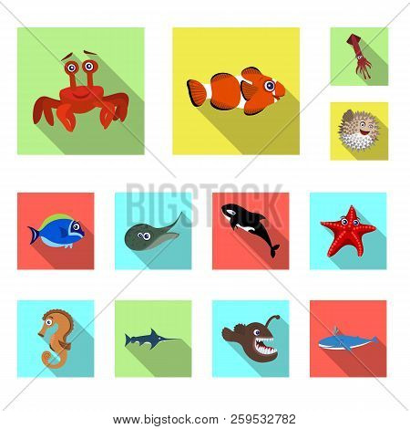 Vector Illustration Of Sea And Animal Sign. Collection Of Sea And Marine Stock Vector Illustration.