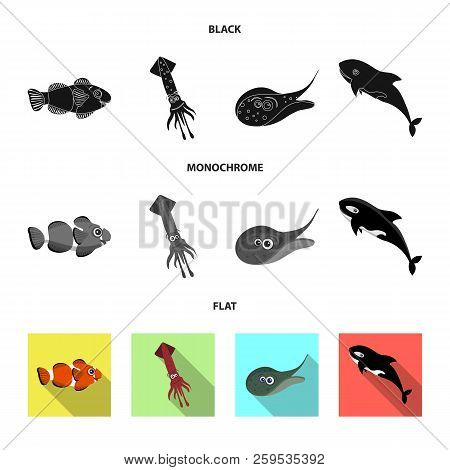 Vector Design Of Sea And Animal Logo. Set Of Sea And Marine Stock Vector Illustration.