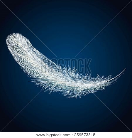 Vector White Feathers Collection, Set Of Different Falling Fluffy Twirled Feathers, Isolated On Blue