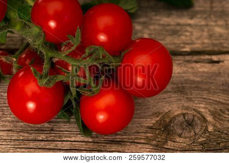 Branch Of Tomatoes  On Rustic Wooden Background