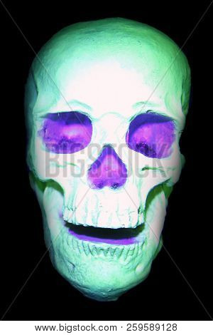 Glow in the dark painted skull. Ultraviolet glow in the dark paint. voodoo glow skull. luminescent glowing skull under black light.
