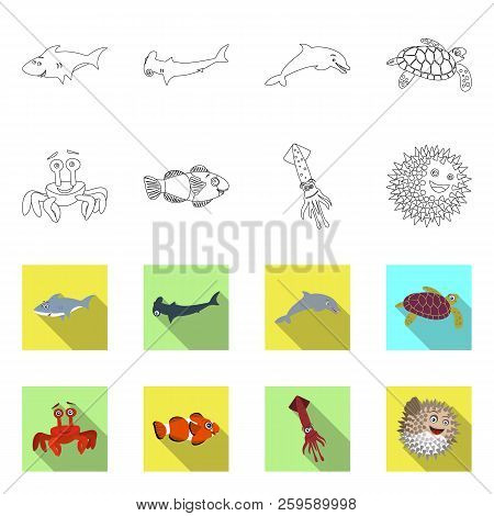 Vector Design Of Sea And Animal Logo. Set Of Sea And Marine Vector Icon For Stock.