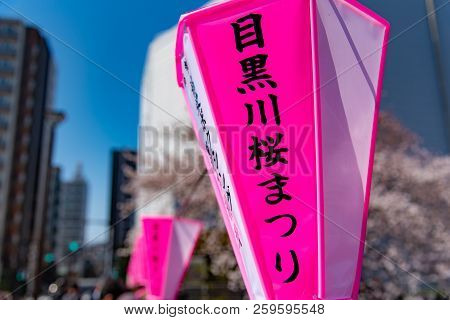 Cherry Blossom Season In Tokyo At Meguro River, Japan. Text On The Lantern Means 