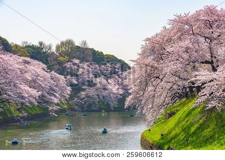 Cherry Blossoms Around Chidorigafuchi Park, Tokyo, Japan.

The Northernmost Part Of Edo Castle Is No