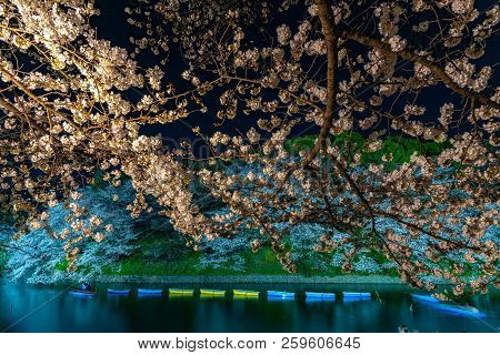 Cherry Blossoms Around Chidorigafuchi Park, Tokyo, Japan.

The Northernmost Part Of Edo Castle Is No