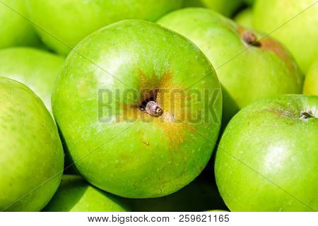 Russian Apples-in Russia Are Very Common Fruits Such As Apples. They Grow Virtually All Over The Cou