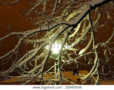 Lampe geschneit bis hinter den Zweig