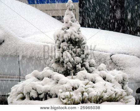 Weihnachtsbaum im verschneiten Stadt